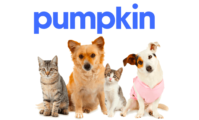 Pumpkin Pet Insurance