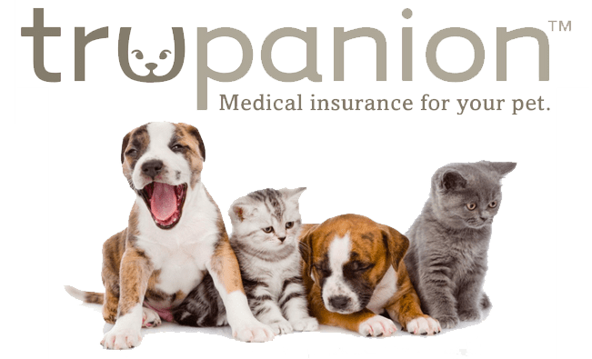 Trupanion pet insurance plan